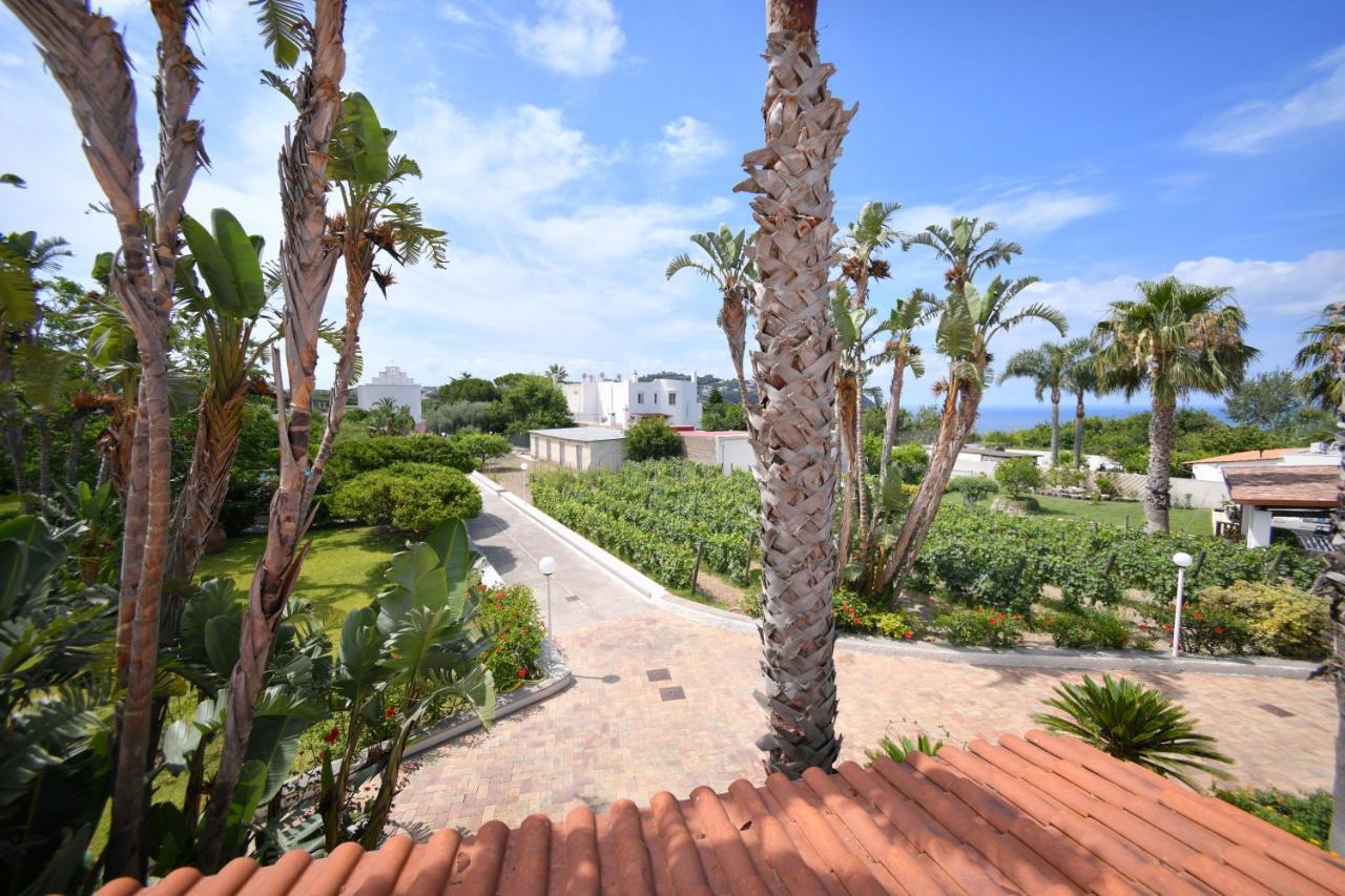 Residence San Domenico Форио Экстерьер фото